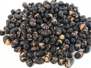 証明されるビタミンによって含まれている大豆の軽食、シャキッとした黒い未加工大豆のくだらない健康