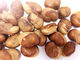 健康な乾燥された空豆の栄養物は乾燥によってカスタマイズされた利用できる焼きました