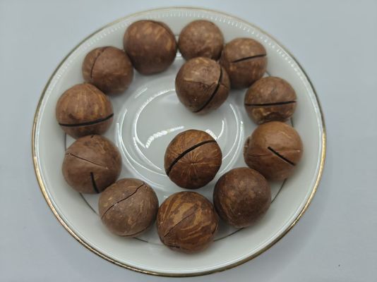 プラスチックの袋から美味しい天然マカダミヤナッツ