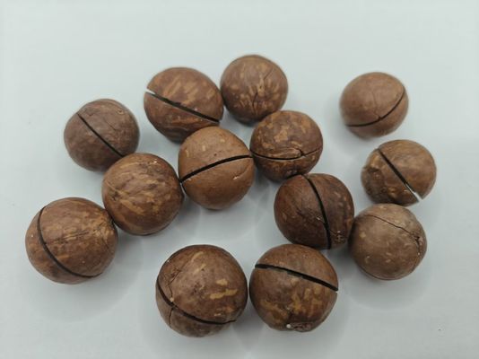 プラスチックの袋から美味しい天然マカダミヤナッツ