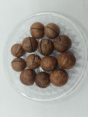 プラスチックの袋から美味しい天然マカダミヤナッツ