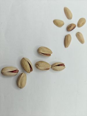 食欲を満たすロースト塩味ピスタチオ殻付き無料サンプル