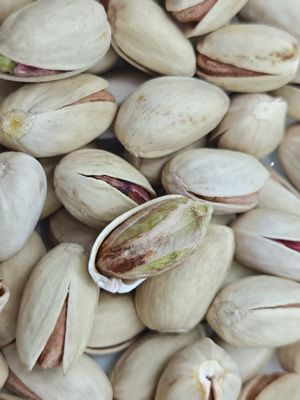 食欲を満たすロースト塩味ピスタチオ殻付き無料サンプル