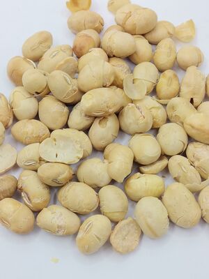 軽く塩漬け 高タンパク質 殻のない脆い焼いた大豆 ソヤ豆 スナック