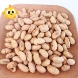 コッシャー・ハラル 認定 コーティング 焼いた 辛口 黄 エダマーム 豆類 スナック ISO 承認