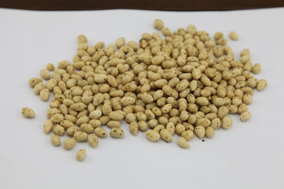 ユダヤの証明されたヒマワリの種軽食、焼かれたヒマワリの穀粒のおいしい味